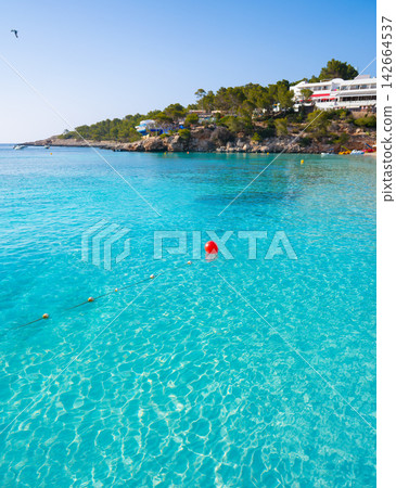 Ibiza Portinatx Arenal Gran beach in Balearics Ibiza Portinatx Arenal Gran beach in Balearics 142664537