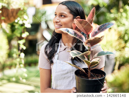 Thinking, woman or owner of pot plant business with rubber tree, eco friendly or sustainable floral. Female farmer, gardener and green leaf for care, maintenance or management in backyard for store Thinking, woman or owner of pot plant business with rubber tree, eco friendly or sustainable floral. Female farmer, gardener and green leaf for care, maintenance or management in backyard for store 142665148