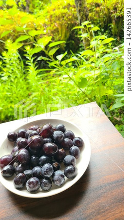 Fresh black grapes served on a plate against a backdrop of lush greenery. 142665391