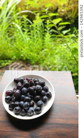 Fresh black grapes served on a plate against a backdrop of lush greenery. Fresh black grapes served on a plate against a backdrop of lush greenery. 142665392