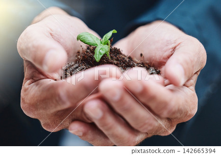 Hand, plant and growth of leaf, businessman and nature for planet, sustainability and ecology for process. Innovation, company and corporate of carbon footprint, professional and worker in job Hand, plant and growth of leaf, businessman and nature for planet, sustainability and ecology for process. Innovation, company and corporate of carbon footprint, professional and worker in job 142665394