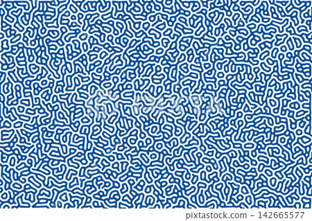 Organic ocean coral reef or labyrinth pattern background. Vector seamless blue and white abstract texture with irregular maze lines for marine wallpaper, textile, wrapping, fabric and decorative print Organic ocean coral reef or labyrinth pattern background. Vector seamless blue and white abstract texture with irregular maze lines for marine wallpaper, textile, wrapping, fabric and decorative print 142665577