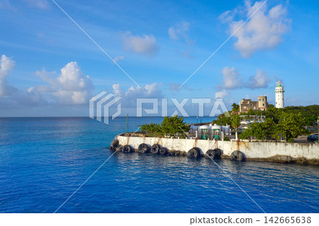 Cozumel island Puerto Abrigo marina Mexico Cozumel island Puerto Abrigo marina Mexico 142665638
