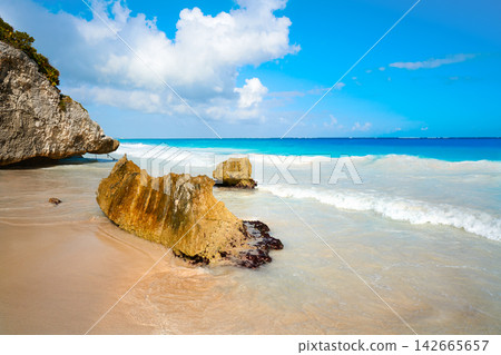 Tulum beach palm tree in Riviera Maya Tulum beach palm tree in Riviera Maya 142665657