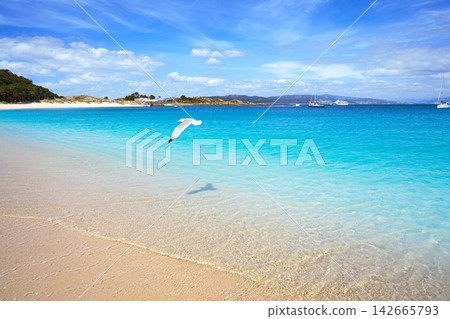 Praia de Rodas beach in islas Cies island Vigo Spain Praia de Rodas beach in islas Cies island Vigo Spain 142665793