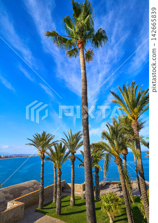 Peniscola mediterranean garden in Spain Peniscola mediterranean garden in Spain 142665839
