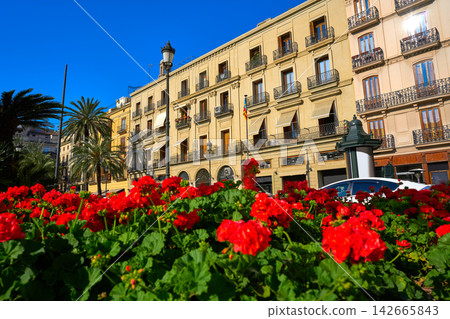 Valencia Plaza de la Reina square in Spain Valencia Plaza de la Reina square in Spain 142665843