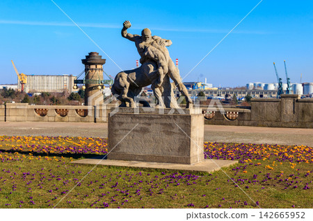 Statue of Hercules fighting with Centaur in Szczecin, Poland Statue of Hercules fighting with Centaur in Szczecin, Poland 142665952