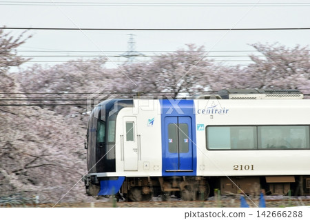名鐵2000系列車(機場快線μ-SKY)沿著一排櫻花樹行駛。 名鐵2000系列車(機場快線μ-SKY)沿著一排櫻花樹行駛。 142666288