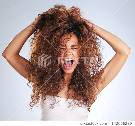 Stress, hair care or messy with woman, frustrated or salon disaster on grey studio background. Person, girl or model with crisis, shouting or negative reaction to dye, angry or screaming with texture Stress, hair care or messy with woman, frustrated or salon disaster on grey studio background. Person, girl or model with crisis, shouting or negative reaction to dye, angry or screaming with texture 142666289