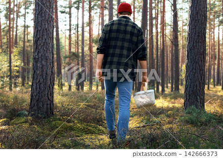 man foraging for wild mushrooms in a dense pine forest, carrying a basket for the autumn harvest, embracing a sustainable lifestyle, wild harvesting, and our deep connection with nature. man foraging for wild mushrooms in a dense pine forest, carrying a basket for the autumn harvest, embracing a sustainable lifestyle, wild harvesting, and our deep connection with nature. 142666373