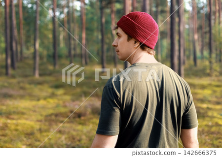 man enjoys a peaceful walk in a pine forest, exploring nature and enjoying the tranquil woods during a quiet outdoor adventure. man enjoys a peaceful walk in a pine forest, exploring nature and enjoying the tranquil woods during a quiet outdoor adventure. 142666375