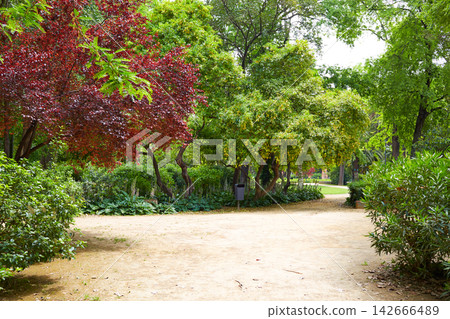 seville maria luisa park gardens spain seville maria luisa park gardens spain 142666489