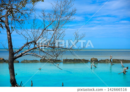 Holbox tropical Island in Quintana Roo Mexico Holbox tropical Island in Quintana Roo Mexico 142666516