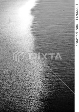 A platinum band of light streaks across the shore, the boundary between silence and light and shadow. A platinum band of light streaks across the shore, the boundary between silence and light and shadow. 142666601