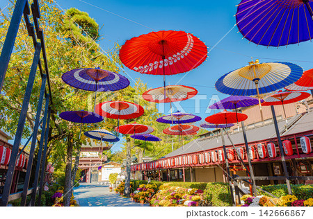 A snake-eye umbrella displayed along the approach to Kasama Inari Shrine. 142666867