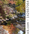 Red maple tree branches against the background of a flowing stream 142667064