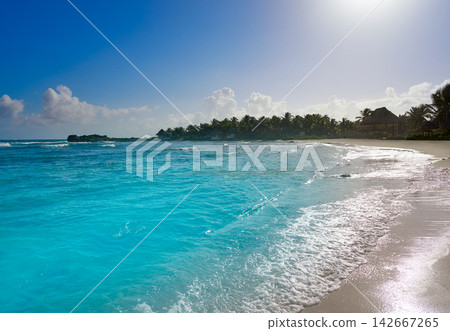 Tulum Caribbean beach in Riviera Maya Tulum Caribbean beach in Riviera Maya 142667265