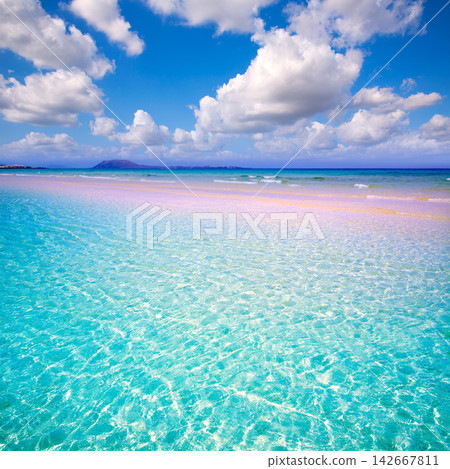 Corralejo Beach Fuerteventura at Canary Islands Corralejo Beach Fuerteventura at Canary Islands 142667811