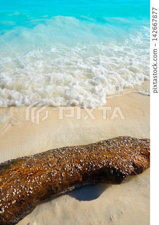 Riviera Maya Caribbean beach turquoise Mexico Riviera Maya Caribbean beach turquoise Mexico 142667877