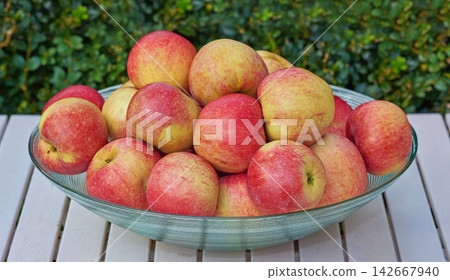 Red apples, bowl and outdoor with nutrition for wellness, healthy snack and treat with produce and harvest. Organic, fruit and growth with nature and diet plan with fiber and protein with vitamins Red apples, bowl and outdoor with nutrition for wellness, healthy snack and treat with produce and harvest. Organic, fruit and growth with nature and diet plan with fiber and protein with vitamins 142667940