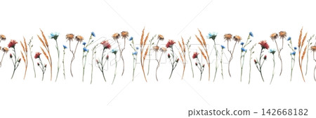 Autumn wildflowers seamless border. Watercolor wild plants, grass and flowers in nature autumn colours. Hand painted realistic botanical floral pattern Illustration isolated from background for fabric Autumn wildflowers seamless border. Watercolor wild plants, grass and flowers in nature autumn colours. Hand painted realistic botanical floral pattern Illustration isolated from background for fabric 142668182