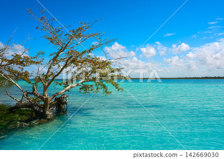 Laguna de Bacalar Lagoon in Mexico Laguna de Bacalar Lagoon in Mexico 142669030