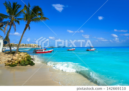 Playa del Carmen beach in Riviera Maya 142669110