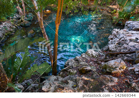Cenote sinkhole in Riviera Maya of Mexico Cenote sinkhole in Riviera Maya of Mexico 142669344