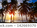 Isla Mujeres island Caribbean beach sunset 142669370