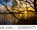 Mangroove sunset in Riviera Maya 142669375