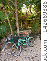 Tulum bicycles in Riviera Maya jungle 142669386