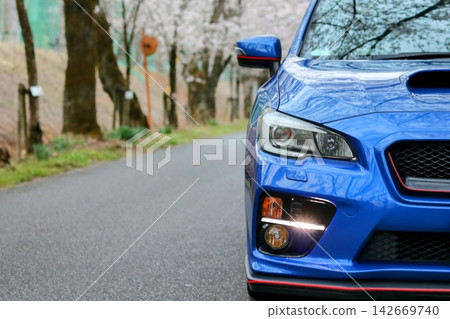 櫻花與藍色汽車 - 正面照片 - 大平山 櫻花與藍色汽車 - 正面照片 - 大平山 142669740