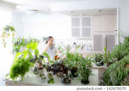 A senior Japanese woman tending to her houseplants as a hobby. A senior Japanese woman tending to her houseplants as a hobby. 142670070