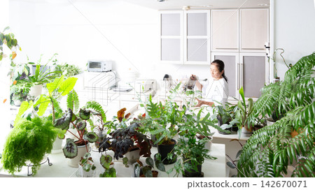 A senior Japanese woman tending to her houseplants as a hobby. A senior Japanese woman tending to her houseplants as a hobby. 142670071