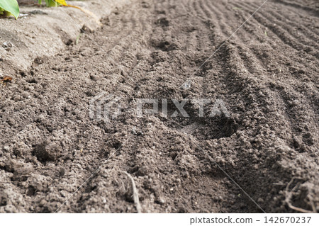 Field (Footprints in the soil) 03 Field (Footprints in the soil) 03 142670237