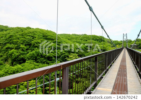 橫跨翠綠大地的橋樑:栃木縣那鬚町的辻寺懸索橋 橫跨翠綠大地的橋樑:栃木縣那鬚町的辻寺懸索橋 142670242