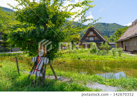 A scarecrow 142670352