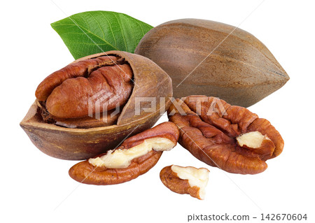 broken pecan nut isolated on white background with full depth of field broken pecan nut isolated on white background with full depth of field 142670604