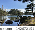 兼六園池塘中漂浮的松樹 142672151