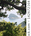 透過樹木的縫隙可以看到小島。 142672164