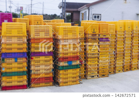Jeju orange and hallabong for sale on farm market shop, Jeju Island, South Korea, tangerine and gamgyul fruits packed in gift orange boxes and crates, ripe citrus fruits export, Jeju-do agriculture Jeju orange and hallabong for sale on farm market shop, Jeju Island, South Korea, tangerine and gamgyul fruits packed in gift orange boxes and crates, ripe citrus fruits export, Jeju-do agriculture 142672571