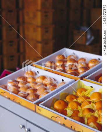 Jeju orange and hallabong for sale on farm market shop, Jeju Island, South Korea, tangerine and gamgyul fruits packed in gift orange boxes and crates, ripe citrus fruits export, Jeju-do agriculture Jeju orange and hallabong for sale on farm market shop, Jeju Island, South Korea, tangerine and gamgyul fruits packed in gift orange boxes and crates, ripe citrus fruits export, Jeju-do agriculture 142672572