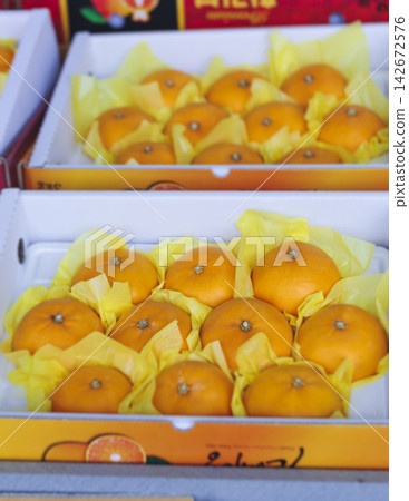 Jeju orange and hallabong for sale on farm market shop, Jeju Island, South Korea, tangerine and gamgyul fruits packed in gift orange boxes and crates, ripe citrus fruits export, Jeju-do agriculture Jeju orange and hallabong for sale on farm market shop, Jeju Island, South Korea, tangerine and gamgyul fruits packed in gift orange boxes and crates, ripe citrus fruits export, Jeju-do agriculture 142672576