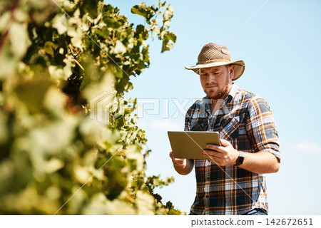 Vineyard, farming and man with tablet, sunshine and check quality of harvest, sustainability and app. Person, agriculture and eco friendly with tech, plants and blue sky with inspection and industry Vineyard, farming and man with tablet, sunshine and check quality of harvest, sustainability and app. Person, agriculture and eco friendly with tech, plants and blue sky with inspection and industry 142672651