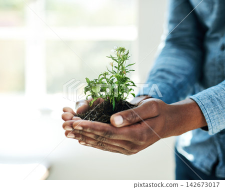 Earth day, nature plants and hands of business person for new flower life, green leaf or future growth. Sustainability, investment trust and corporate for help, eco friendly environment and nurture Earth day, nature plants and hands of business person for new flower life, green leaf or future growth. Sustainability, investment trust and corporate for help, eco friendly environment and nurture 142673017
