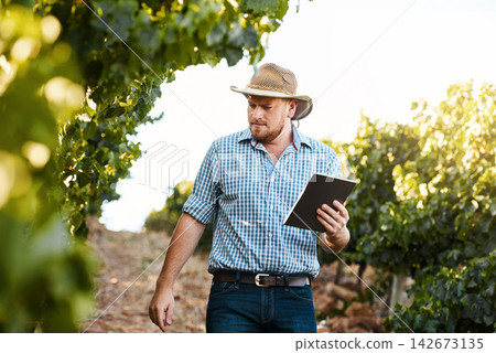 Vineyard, farmer and man with tablet, thinking and check quality of harvest, industry or digital app. Person, problem solving or agriculture with tech, plants or summer with inspection or environment Vineyard, farmer and man with tablet, thinking and check quality of harvest, industry or digital app. Person, problem solving or agriculture with tech, plants or summer with inspection or environment 142673135