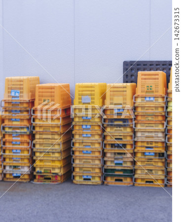 Jeju orange and hallabong for sale on farm market shop, Jeju Island, South Korea, tangerine and gamgyul fruits packed in gift orange boxes and crates, ripe citrus fruits export, Jeju-do agriculture Jeju orange and hallabong for sale on farm market shop, Jeju Island, South Korea, tangerine and gamgyul fruits packed in gift orange boxes and crates, ripe citrus fruits export, Jeju-do agriculture 142673315