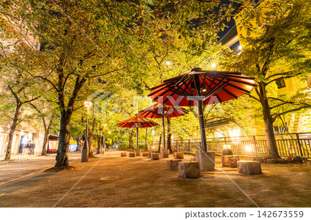 京都祗園白川街道的迷人夜景,點綴著傳統的京都町屋和柳樹。 京都祗園白川街道的迷人夜景,點綴著傳統的京都町屋和柳樹。 142673559