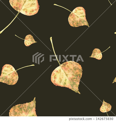 Watercolor Autumn leaves seamless pattern. Golden yellow, orange and red realistic fall foliage. Hand drawn botanical illustration isolated on dark background birch, aspen, poplar or linden leaf. Watercolor Autumn leaves seamless pattern. Golden yellow, orange and red realistic fall foliage. Hand drawn botanical illustration isolated on dark background birch, aspen, poplar or linden leaf. 142673830